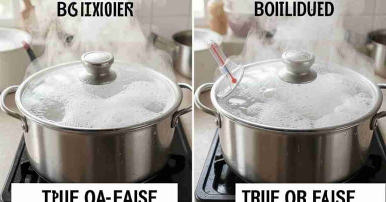 Boiling Water Faster With A Lid True Or False (With Thermodynamics)[1]