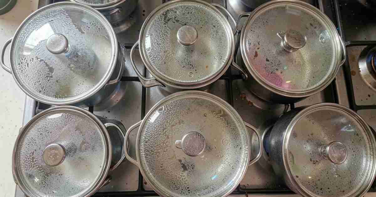 Why Glass Lids Reduce Cooking Time By Less Than You Think[1]