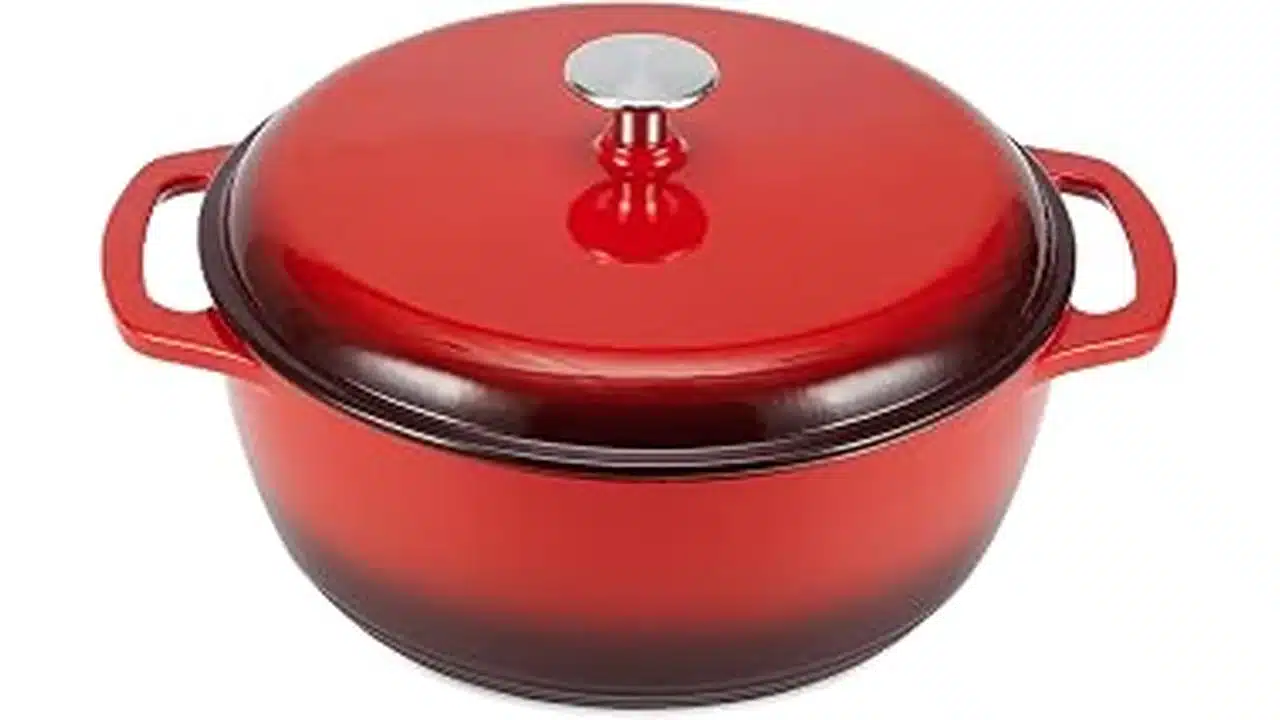 Best Le Creuset Alternative Dutch Ovens